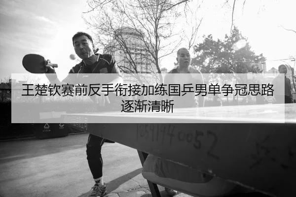 王楚钦赛前反手衔接加练国乒男单争冠思路逐渐清晰