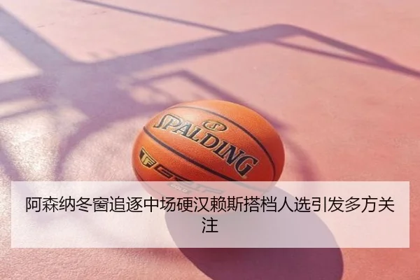 阿森纳冬窗追逐中场硬汉赖斯搭档人选引发多方关注